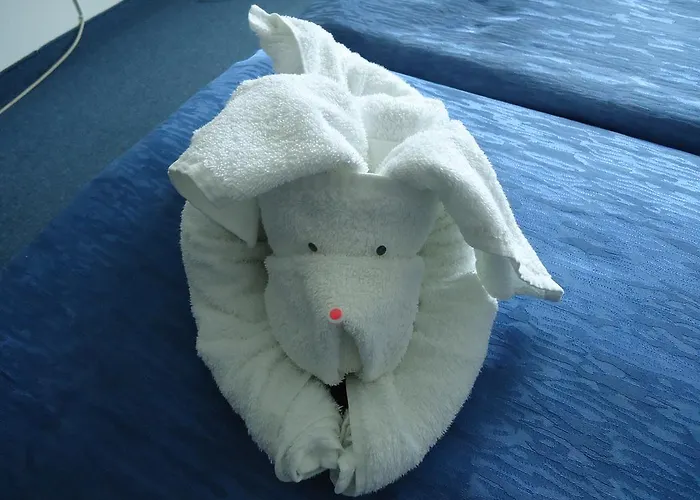 Πανσιόν Ruskovi Ράβντα