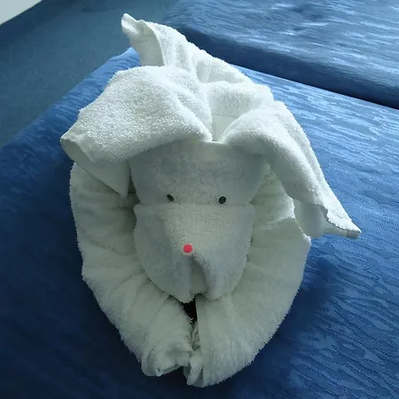 بيت ضيافة Ruskovi رافدا